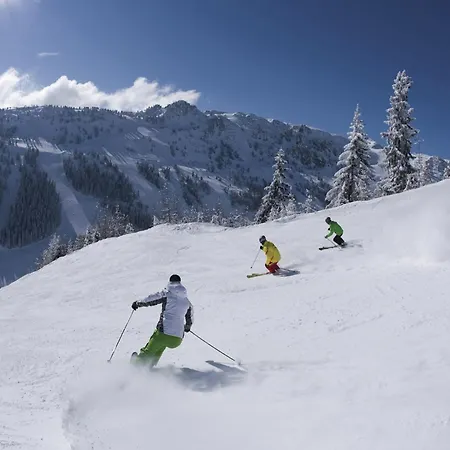 Spacious Near Area In Mayrhofen
