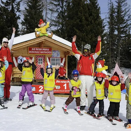 Spacious Near Area In Mayrhofen