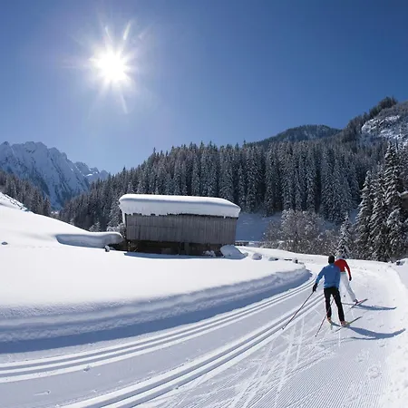 Spacious Near Area In Lägenhet Mayrhofen