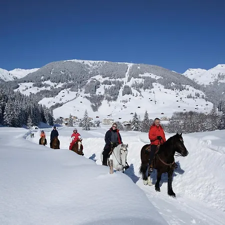 Διαμέρισμα Spacious Near Area In Mayrhofen