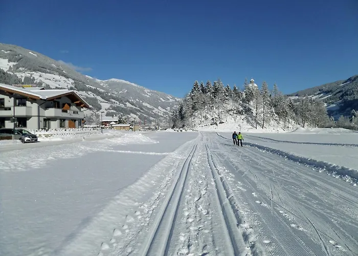 Daire Spacious Near Area In *